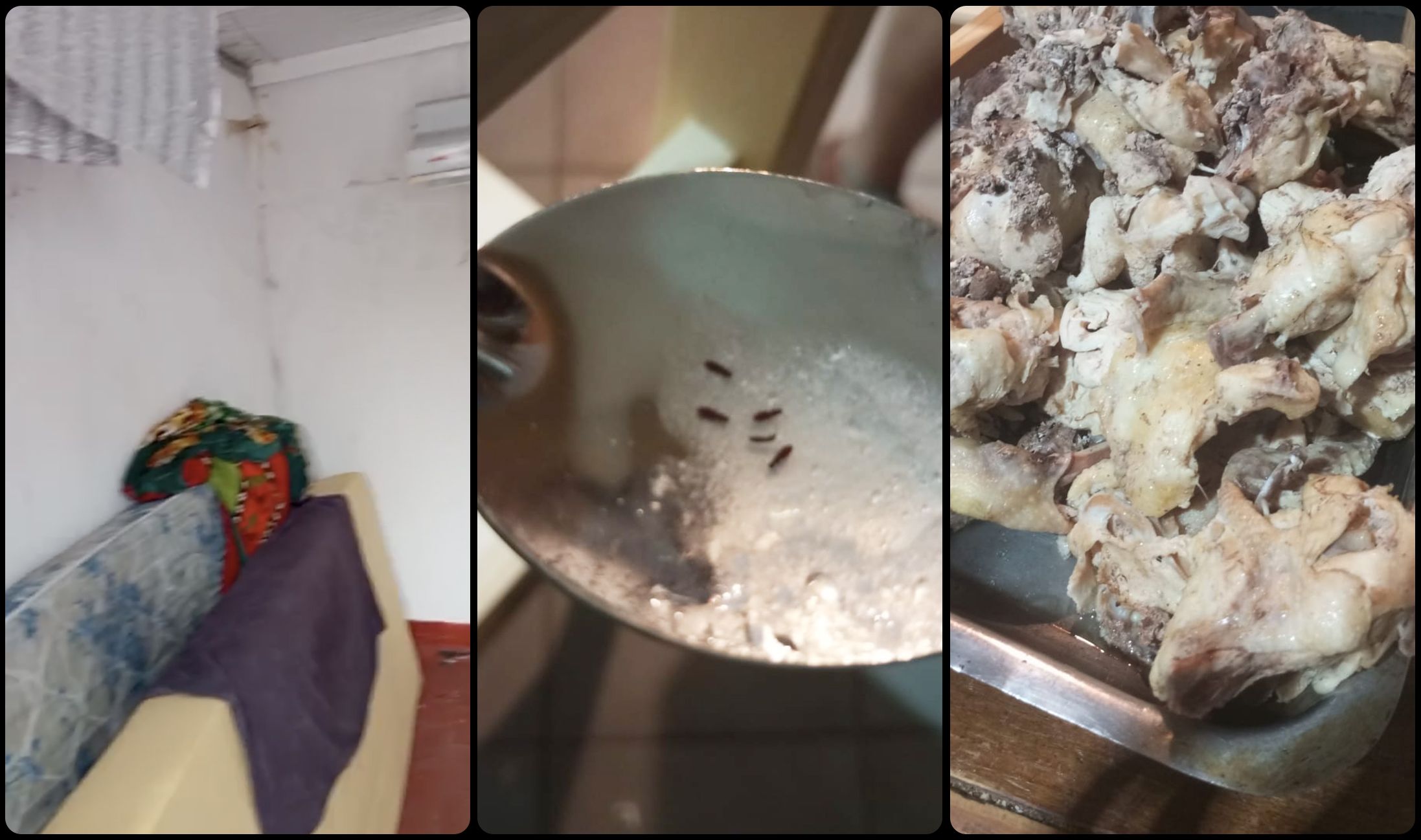 问鼎体育官网登录注册平台入口|体育场地阿根廷足球青训帝国背后的残酷体系
